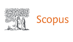The Scopus Search Function