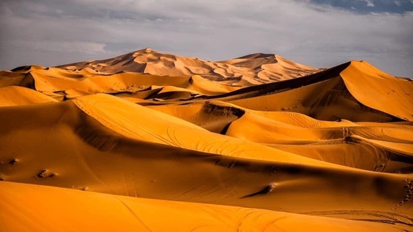 Desert Sahara Nature’s Greatest Canvas