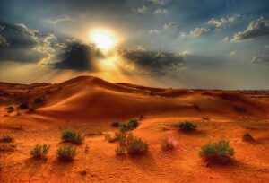 Other Sahara Desert Mammal Residents