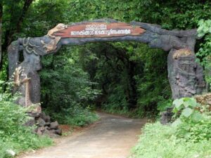 The Increasing Demand For Ecotourism in India